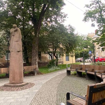 Izuminka V Centre Goroda Lviv Exteriör bild